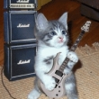 guitar