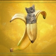 uz jse narodilo v banane